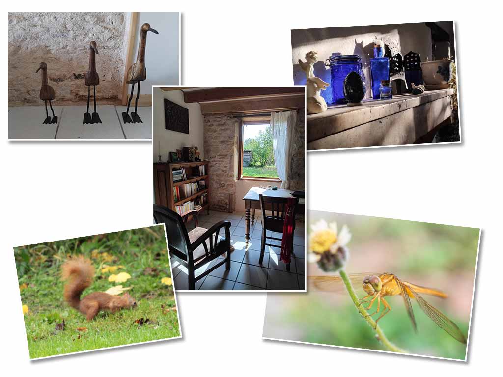 Une décoration soignée et du mobilier de qualité