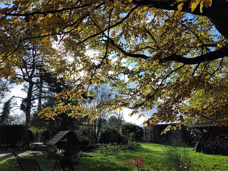 Grand jardin naturel